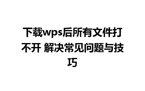 下载wps后所有文件打不开 解决常见问题与技巧