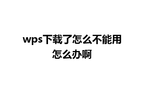 wps下载了怎么不能用怎么办啊