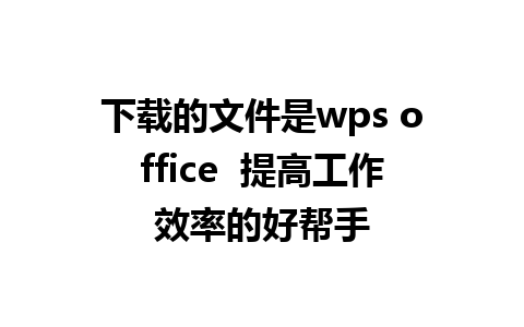 下载的文件是wps office  提高工作效率的好帮手