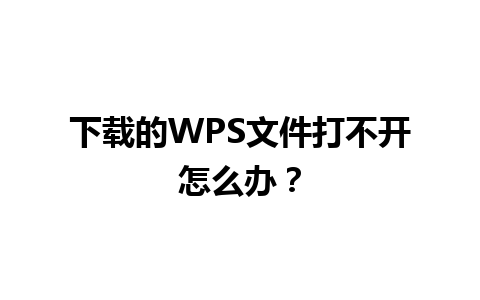 下载的WPS文件打不开怎么办？