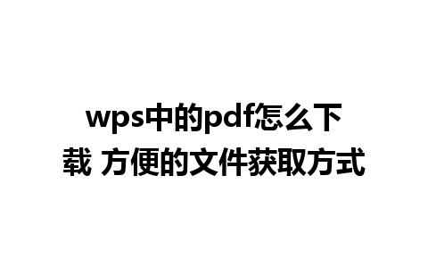 wps中的pdf怎么下载 方便的文件获取方式