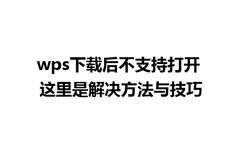 wps下载后不支持打开 这里是解决方法与技巧 

