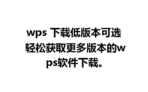 wps 下载低版本可选 轻松获取更多版本的wps软件下载。