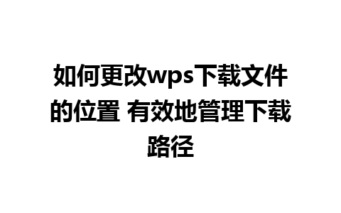 如何更改wps下载文件的位置 有效地管理下载路径