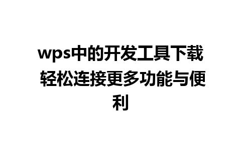 wps中的开发工具下载 轻松连接更多功能与便利