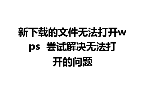 新下载的文件无法打开wps  尝试解决无法打开的问题