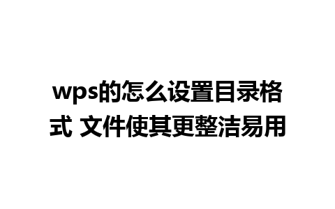 wps的怎么设置目录格式 文件使其更整洁易用