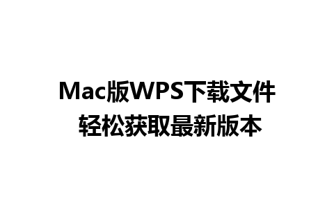 Mac版WPS下载文件 轻松获取最新版本