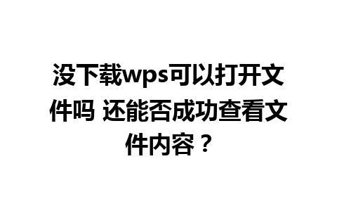 没下载wps可以打开文件吗 还能否成功查看文件内容？