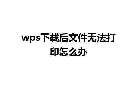 wps下载后文件无法打印怎么办