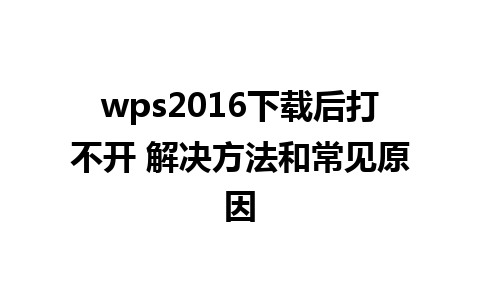 wps2016下载后打不开 解决方法和常见原因