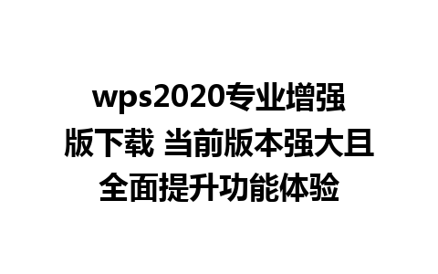 wps2020专业增强版下载 当前版本强大且全面提升功能体验