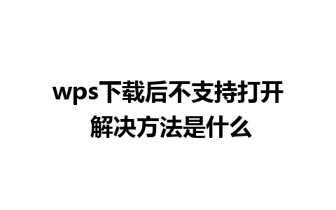 wps下载后不支持打开 解决方法是什么