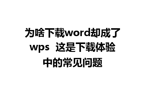 为啥下载word却成了wps  这是下载体验中的常见问题