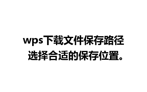 wps下载文件保存路径 选择合适的保存位置。