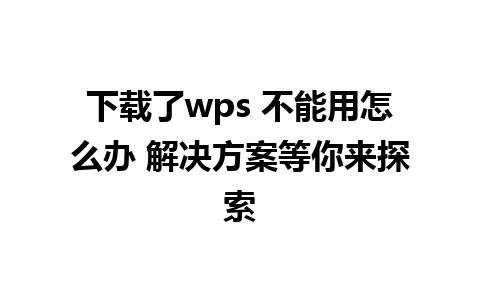 下载了wps 不能用怎么办 解决方案等你来探索