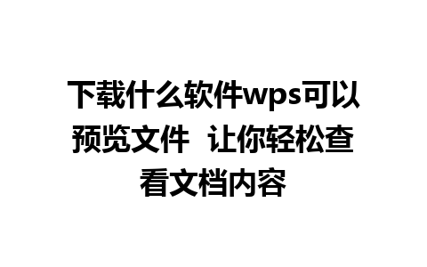 下载什么软件wps可以预览文件  让你轻松查看文档内容