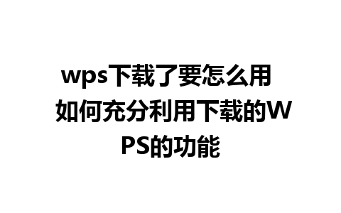 wps下载了要怎么用  如何充分利用下载的WPS的功能