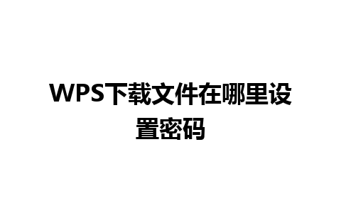 WPS下载文件在哪里设置密码