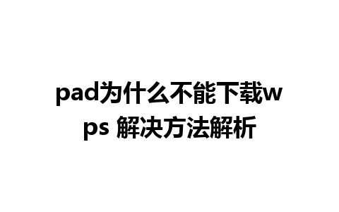 pad为什么不能下载wps 解决方法解析