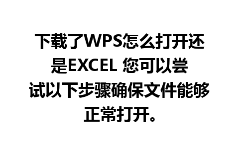 下载了WPS怎么打开还是EXCEL 您可以尝试以下步骤确保文件能够正常打开。

