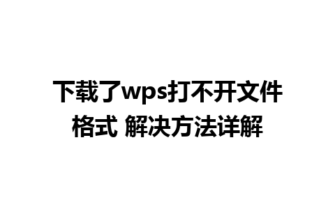 下载了wps打不开文件格式 解决方法详解