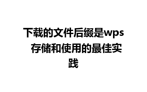 下载的文件后缀是wps  存储和使用的最佳实践