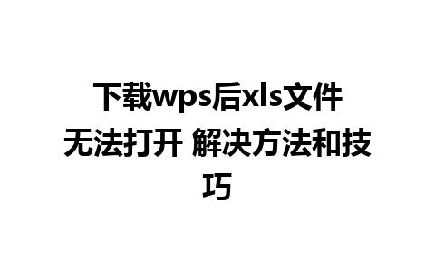 下载wps后xls文件无法打开 解决方法和技巧