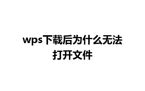 wps下载后为什么无法打开文件