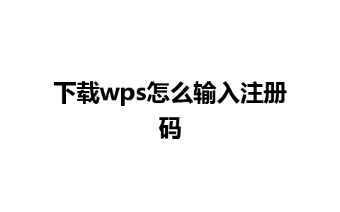 下载wps怎么输入注册码  

