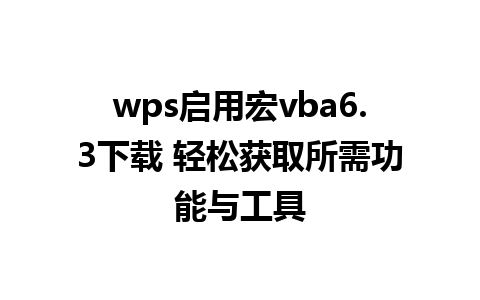 wps启用宏vba6.3下载 轻松获取所需功能与工具