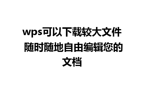 wps可以下载较大文件 随时随地自由编辑您的文档