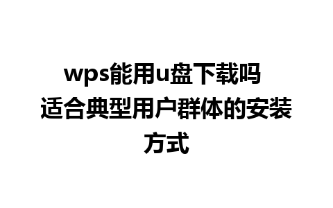 wps能用u盘下载吗 适合典型用户群体的安装方式