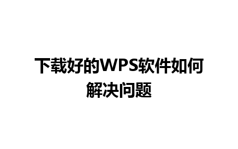 下载好的WPS软件如何解决问题 