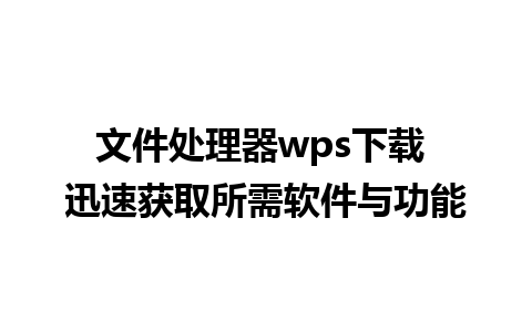 文件处理器wps下载 迅速获取所需软件与功能