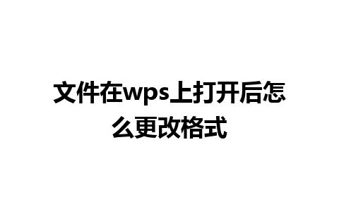 文件在wps上打开后怎么更改格式