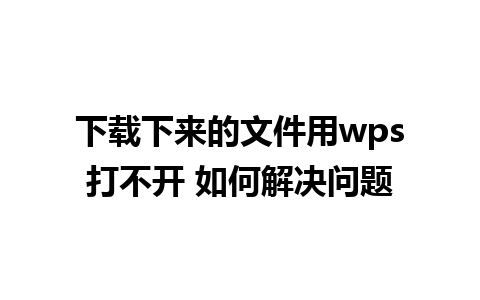 下载下来的文件用wps打不开 如何解决问题