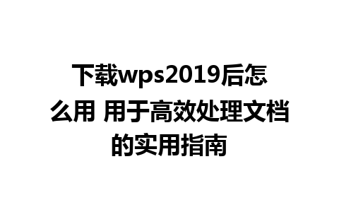 下载wps2019后怎么用 用于高效处理文档的实用指南