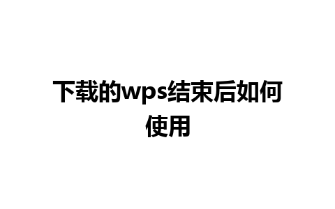 下载的wps结束后如何使用