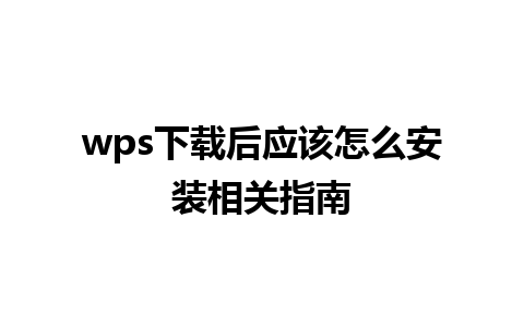 wps下载后应该怎么安装相关指南