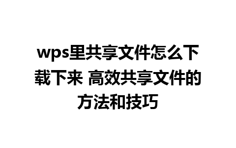 wps里共享文件怎么下载下来 高效共享文件的方法和技巧