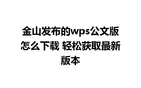 金山发布的wps公文版怎么下载 轻松获取最新版本