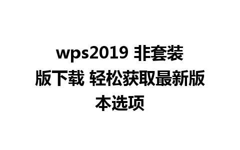 wps2019 非套装版下载 轻松获取最新版本选项