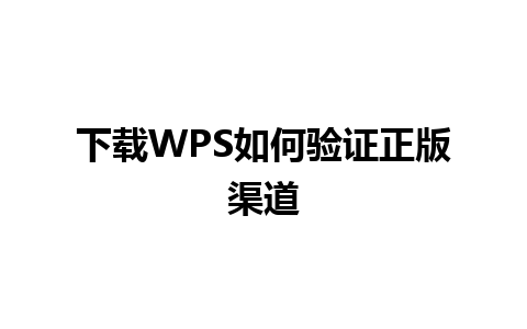 下载WPS如何验证正版渠道