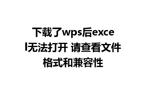 下载了wps后excel无法打开 请查看文件格式和兼容性