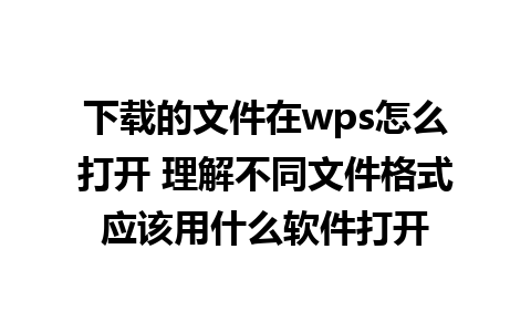 下载的文件在wps怎么打开 理解不同文件格式应该用什么软件打开