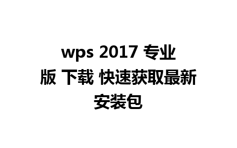 wps 2017 专业版 下载 快速获取最新安装包