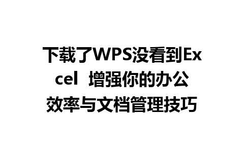 下载了WPS没看到Excel  增强你的办公效率与文档管理技巧