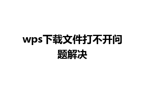 wps下载文件打不开问题解决