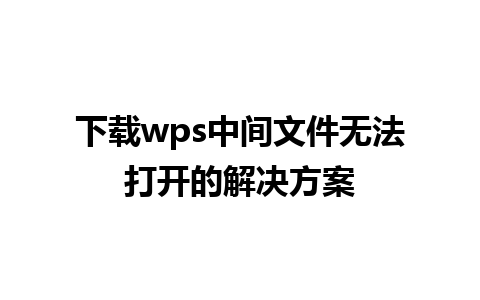 下载wps中间文件无法打开的解决方案